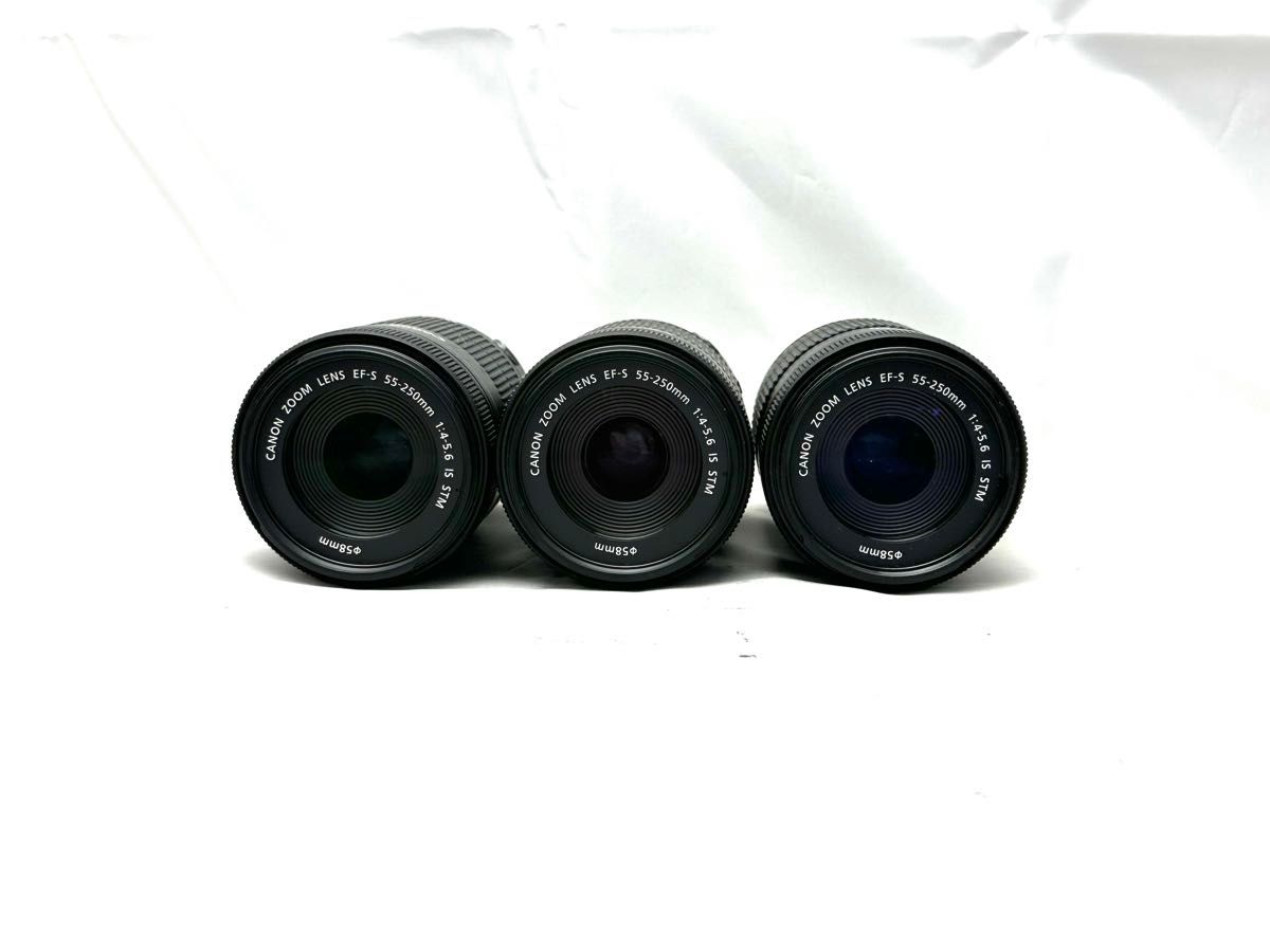 未使用 Canon EF-S55-250mm 手振れ補正 望遠レンズ 未使用 Canon EF-S55-250mm 手振れ補正 望遠レンズ