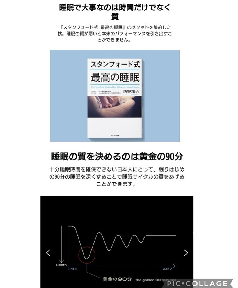 新品 定価37400円 BRAIN SLEEP ブレインスリープ ピロー (7 新品 定価37400円 BRAIN SLEEP ブレインスリープ ピロー (7