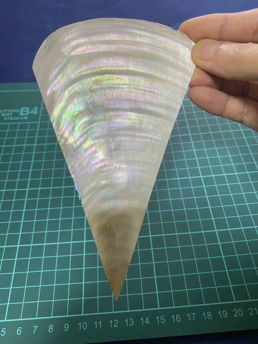 パールシェル　スライス20枚セット　1.5mm 1