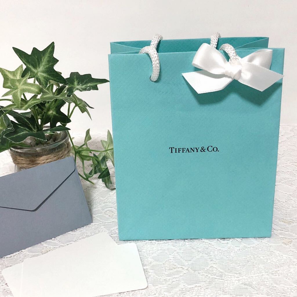 ティファニー「TIFFANY&Co 」ミニショッパー アクセサリー箱 ティファニー「TIFFANY&Co 」ミニショッパー アクセサリー箱