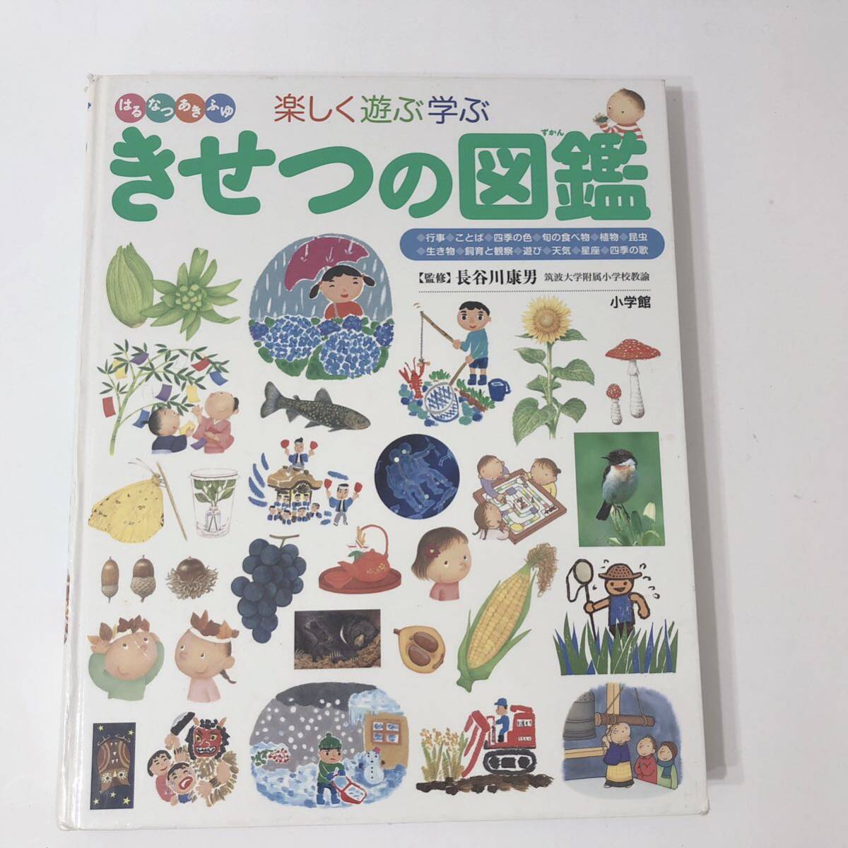 小学館の子ども図鑑 プレNEO 5冊|Yahoo!フリマ(旧PayPayフリマ) 小学館の子ども図鑑 プレNEO 5冊|Yahoo!フリマ(旧PayPayフリマ)