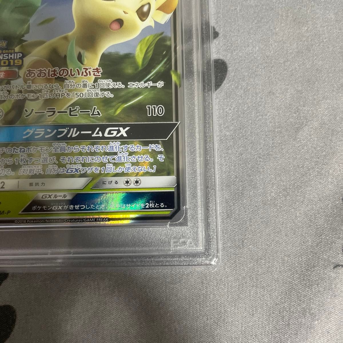 ポケモンカード リーフィアGX チャンピオンシップシリーズ2019 ポケモンカード リーフィアGX チャンピオンシップシリーズ2019