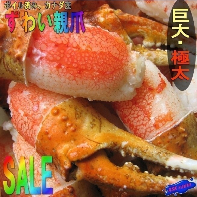 3個、美味「ずわい蟹親爪L-1kg」食べやすい、リングカット_画像1