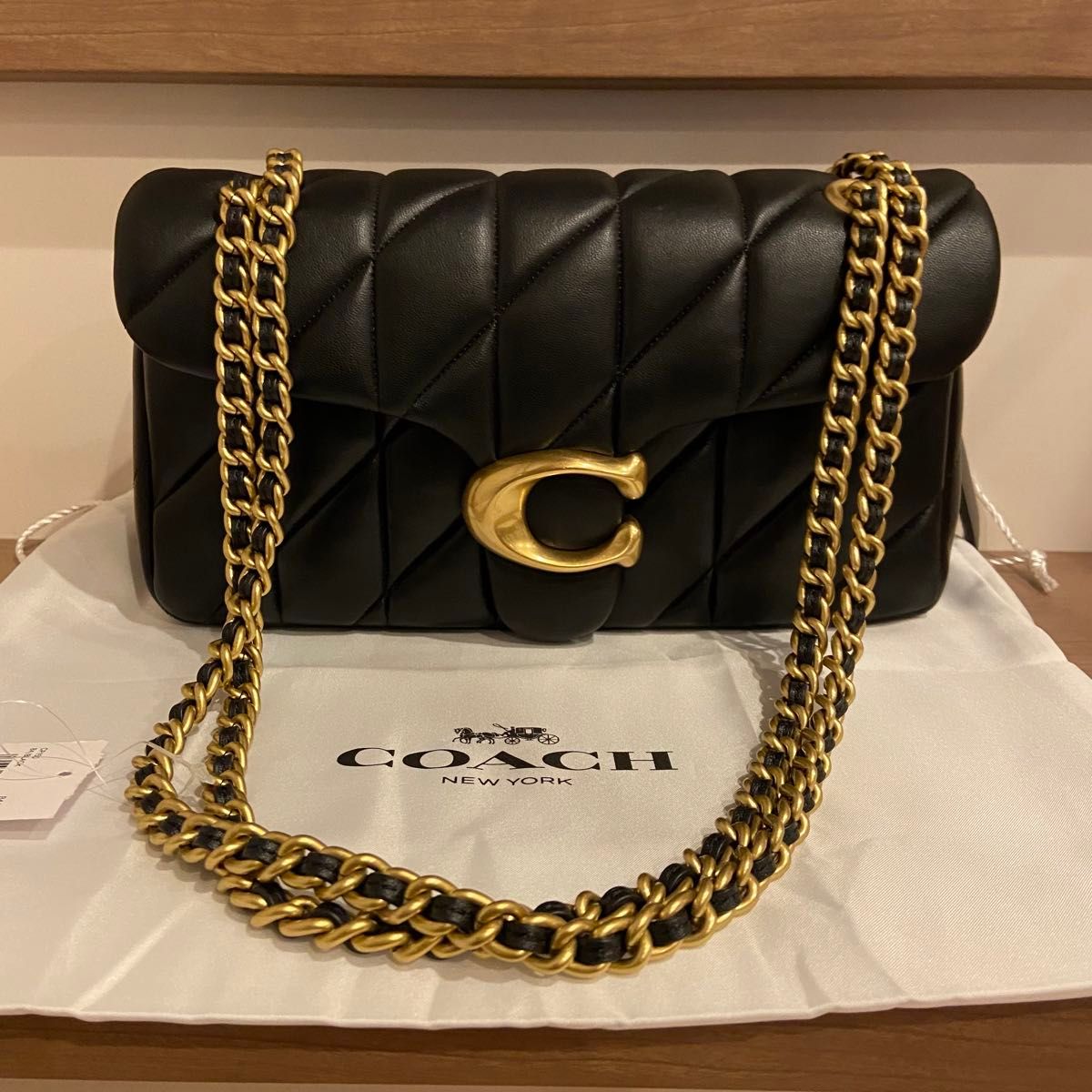 未使用品 コーチ coach CP150 レザー 本革 チェーンショルダー 未使用品 コーチ coach CP150 レザー 本革 チェーンショルダー