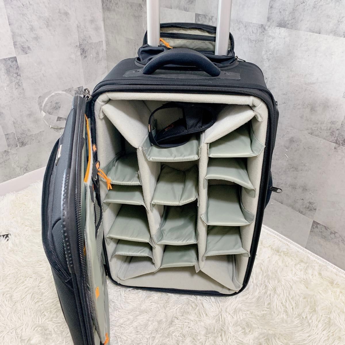 希少 廃盤品 LowePro ロープロ プロローラー X200 キャリー 希少 廃盤品 LowePro ロープロ プロローラー X200 キャリー