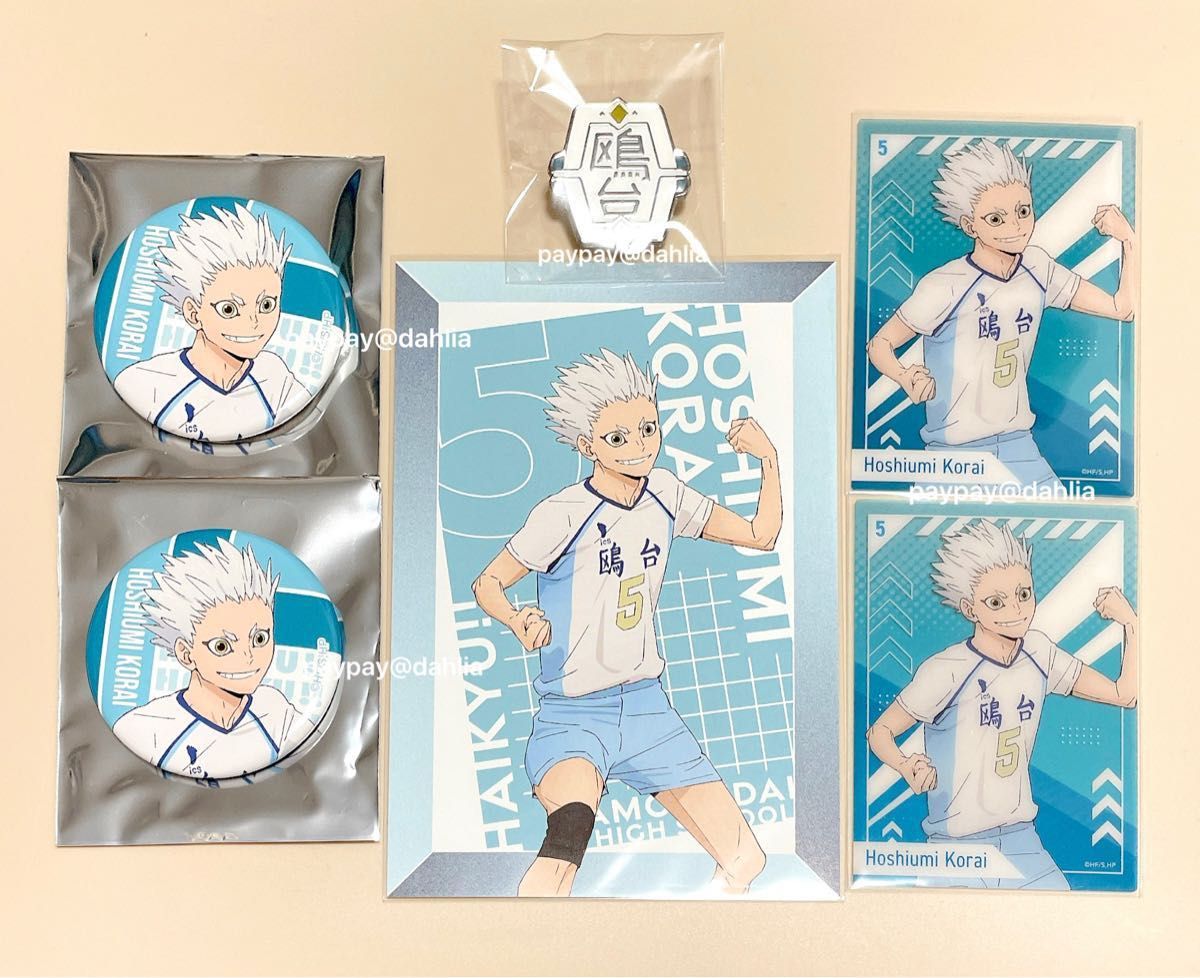 星海光来 10周年記念展 描き下ろし 缶バッジ ポストカード 星海光来 10周年記念展 描き下ろし 缶バッジ ポストカード
