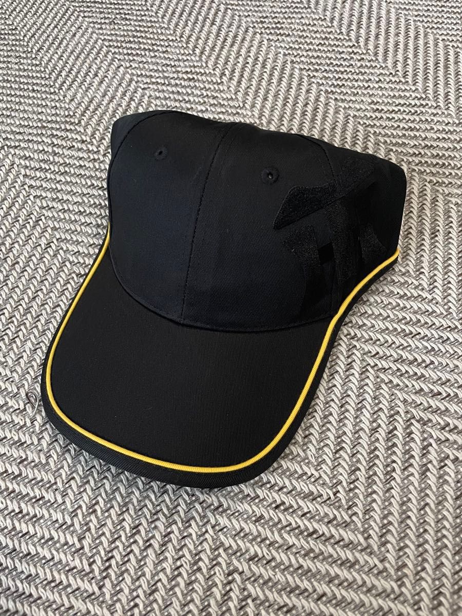 阪神タイガース キャップ 2008年と2011年シーズンシート記念品 阪神タイガース キャップ 2008年と2011年シーズンシート記念品