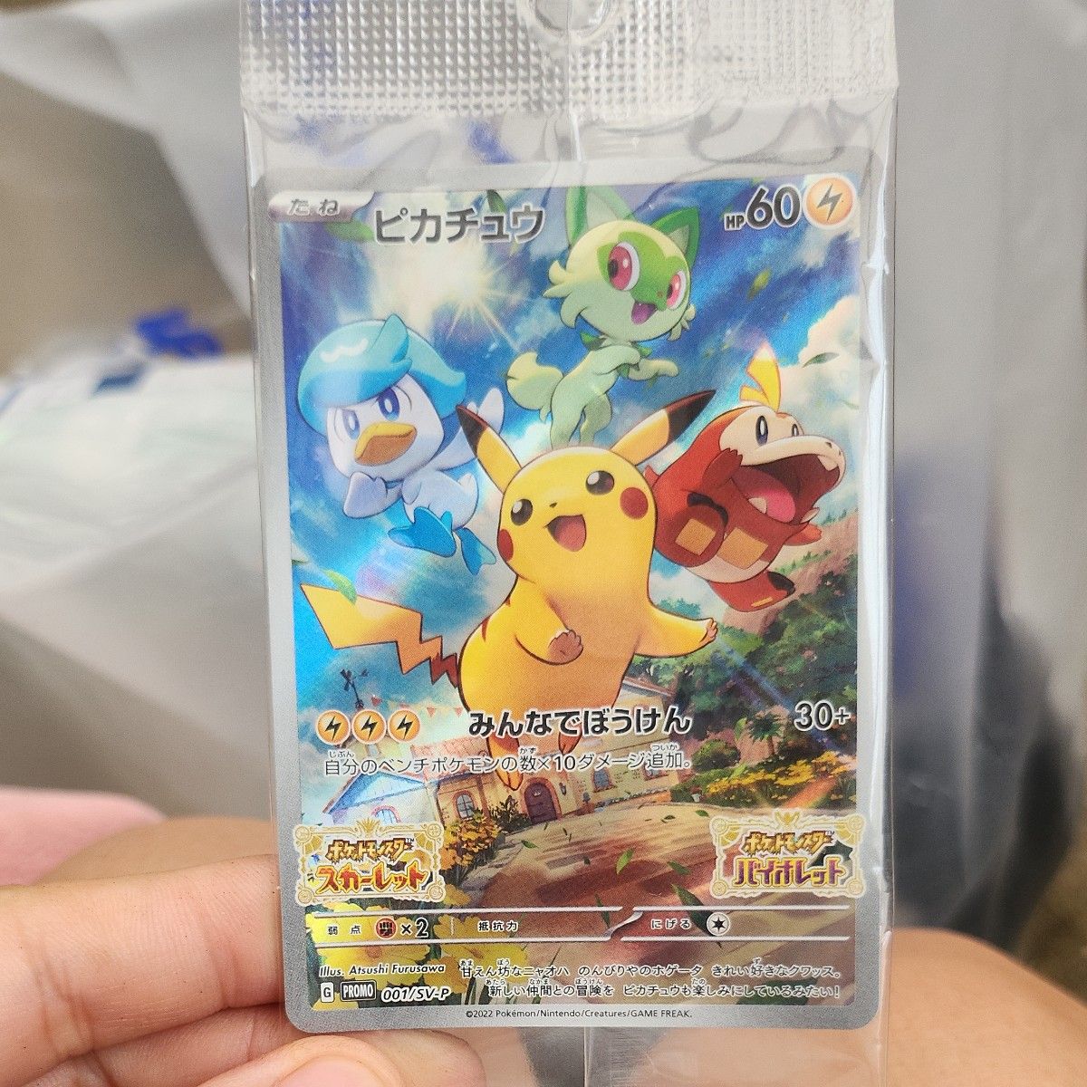 ポケモンカード セット みんなでいわう みんなでぼうけん ポケモンカード セット みんなでいわう みんなでぼうけん