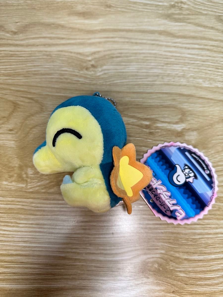 ヒノアラシドール ひみつきち ポケットモンスター ポケモン ヒノアラシ ぬいぐるみ ひみつきち ヒノアラシドール