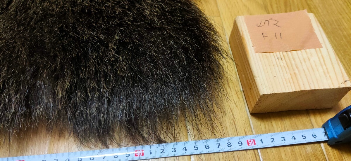 ○マタギ○ヒグマの尻皮(極上F11) クマ 尻当て 尻あて (熊 羆 ○マタギ○ヒグマの尻皮(極上F11) クマ 尻当て 尻あて (熊 羆