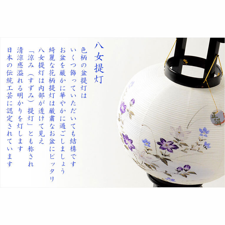 特選 盆提灯【八女提灯:本絹二重張り 天然木黒美塗仕上げ 桔梗 特選 盆提灯【八女提灯:本絹二重張り 天然木黒美塗仕上げ 桔梗