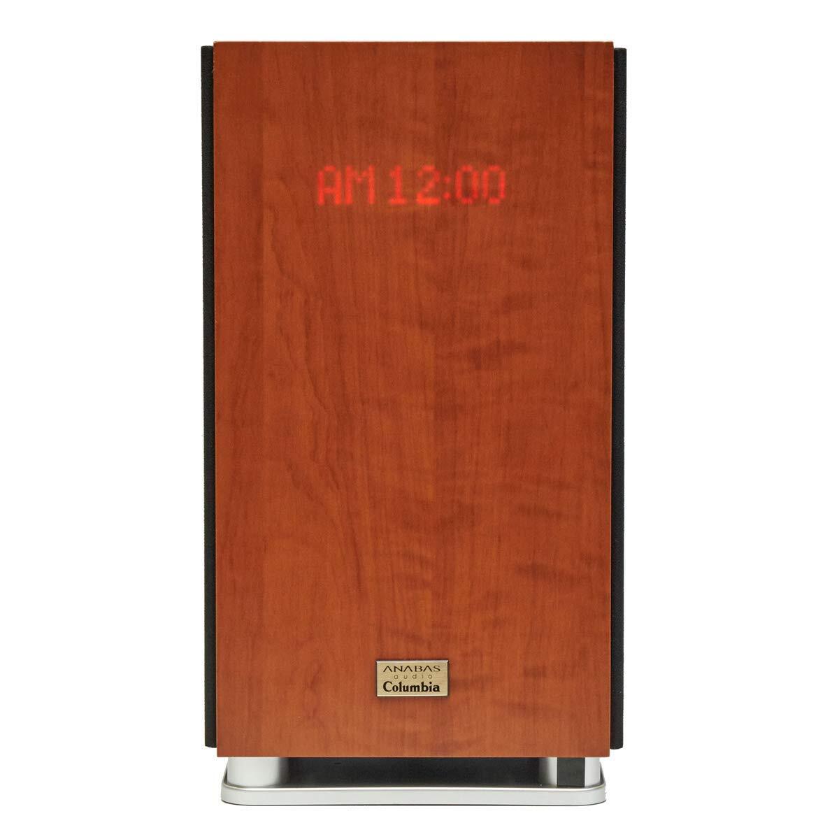 【中古】ユーキャン アナバス オーディオ 名曲100曲内蔵 ユーキャンオリジナルモデル ANABAS AUDIO NCA-100