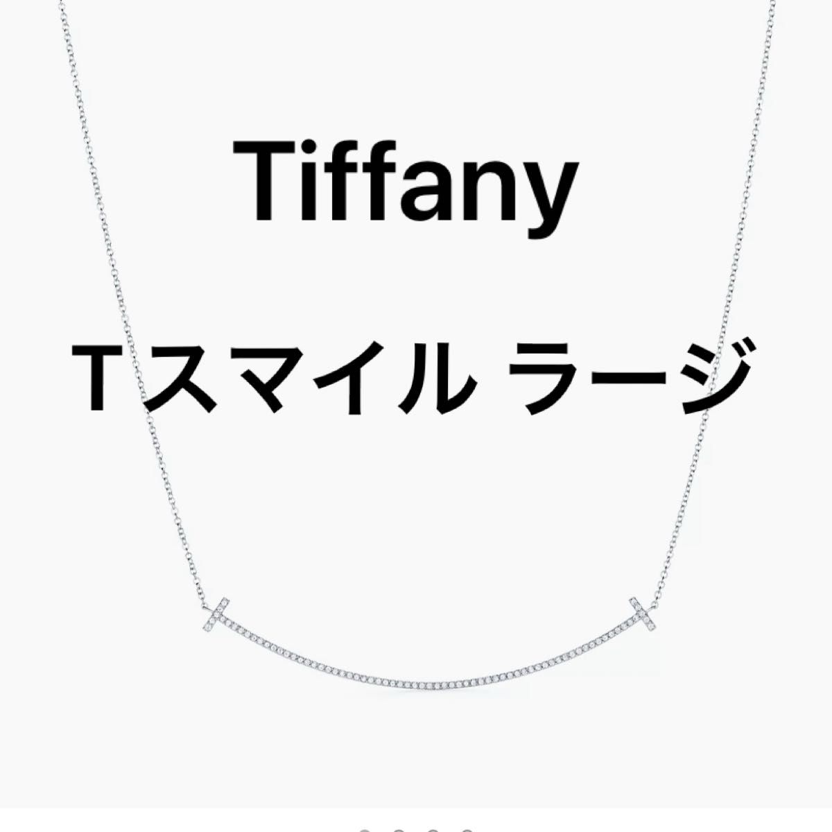 美品 ネックレス TIFFANY ティファニー シルバー ティファニーT 美品 ネックレス TIFFANY ティファニー シルバー ティファニーT