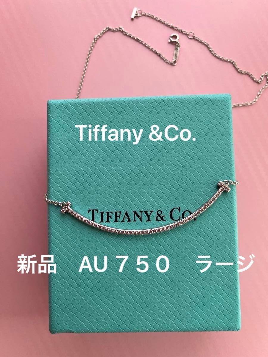 美品 ネックレス TIFFANY ティファニー シルバー ティファニーT 美品 ネックレス TIFFANY ティファニー シルバー ティファニーT