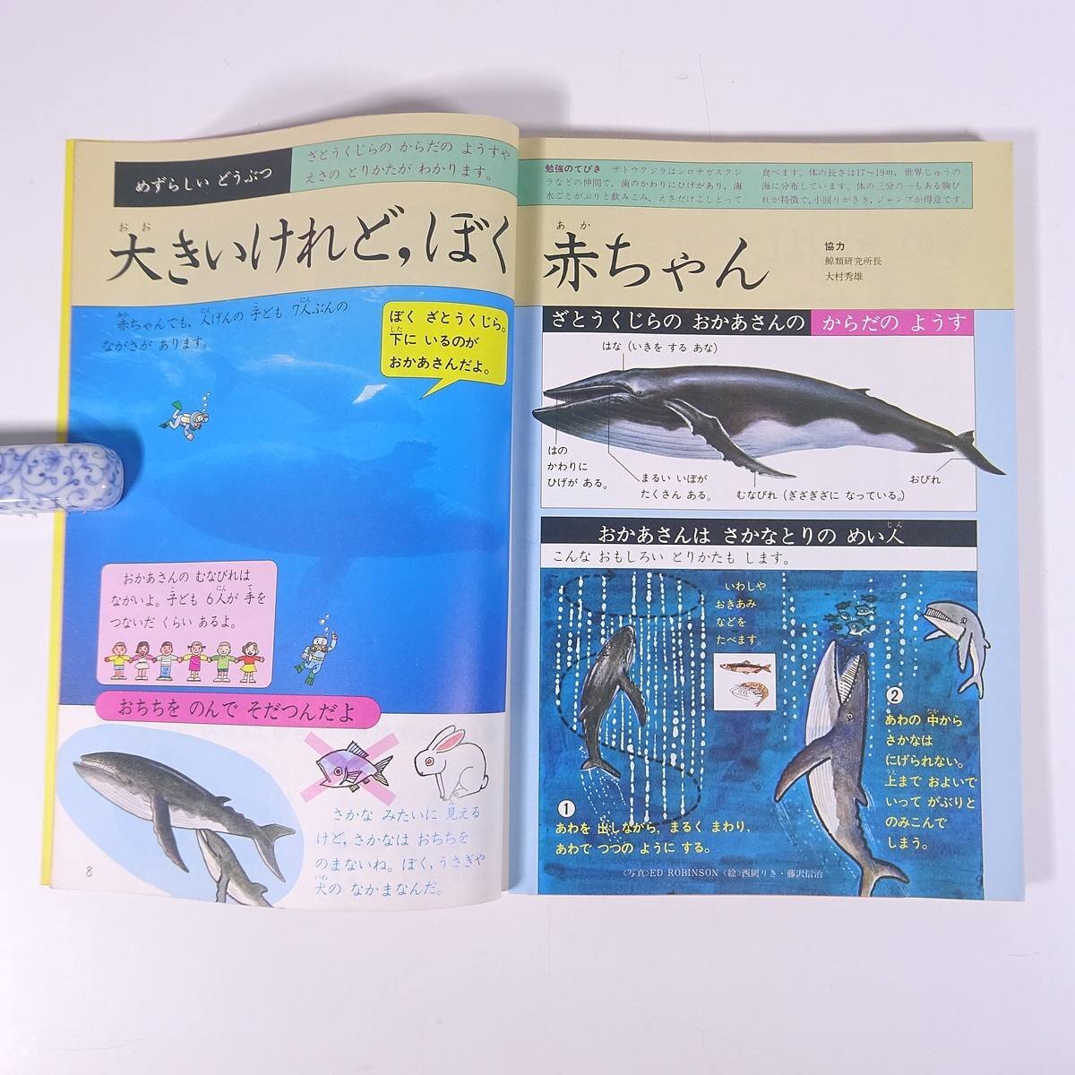 Yahoo!オークション - 1年のかがく 1979/11 Gakken 学研 学習 Yahoo!オークション - 1年のかがく 1979/11 Gakken 学研 学習