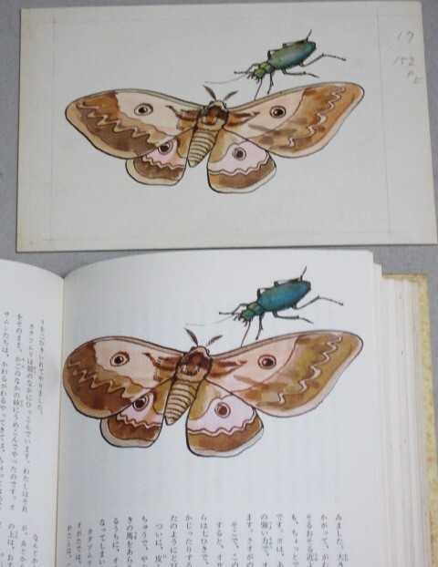 セーラームーン 直筆背景画 セル画 14 ♯ 原画 アンティーク セーラームーン 直筆背景画 セル画 14 ♯ 原画 アンティーク