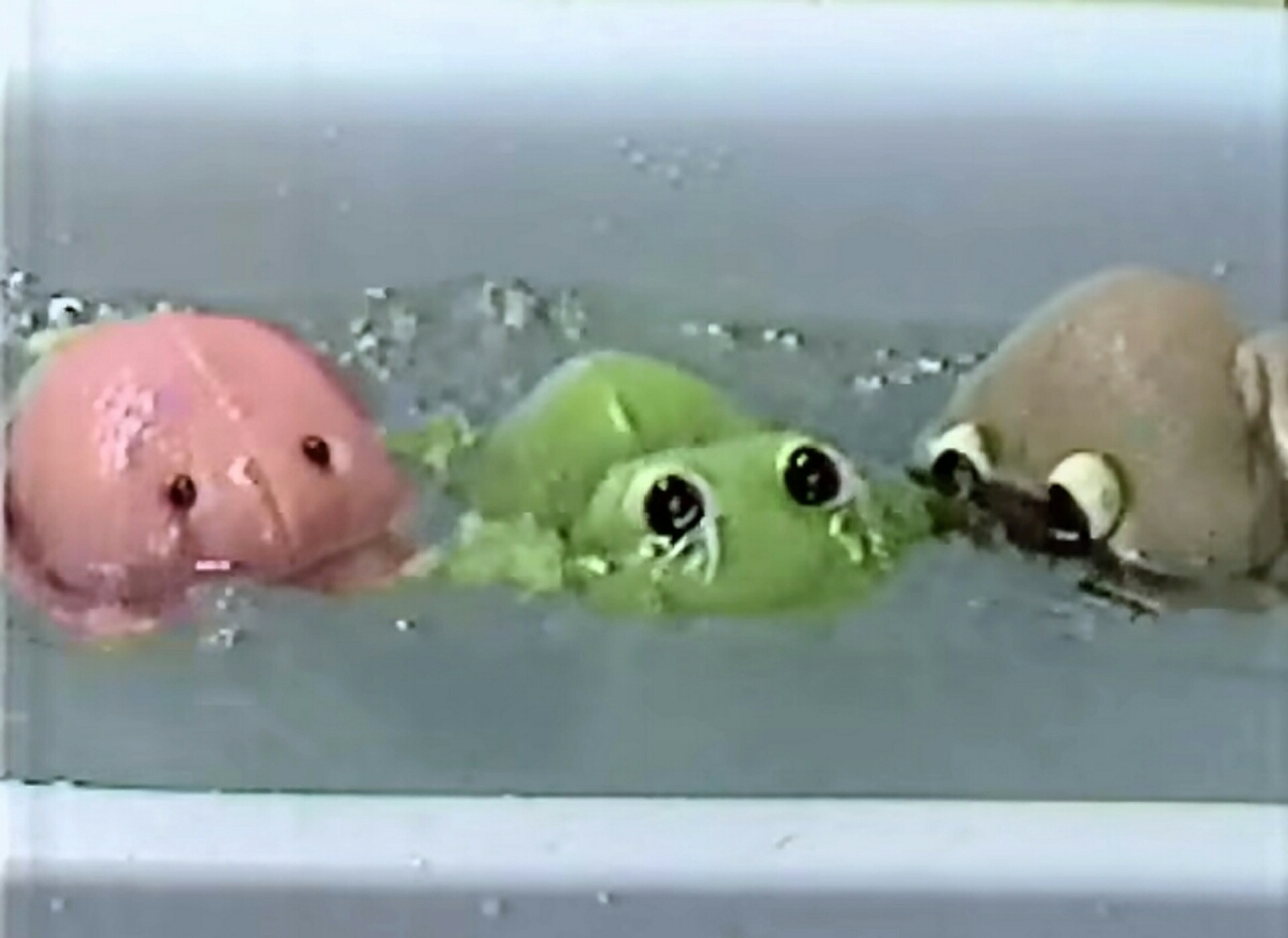 mnyumnyu.. свинья свинья 80 годы игрушка новый товар ванна мягкая игрушка губка Showa Retro Showa Retro fancy ванна ванна кукла редкость 