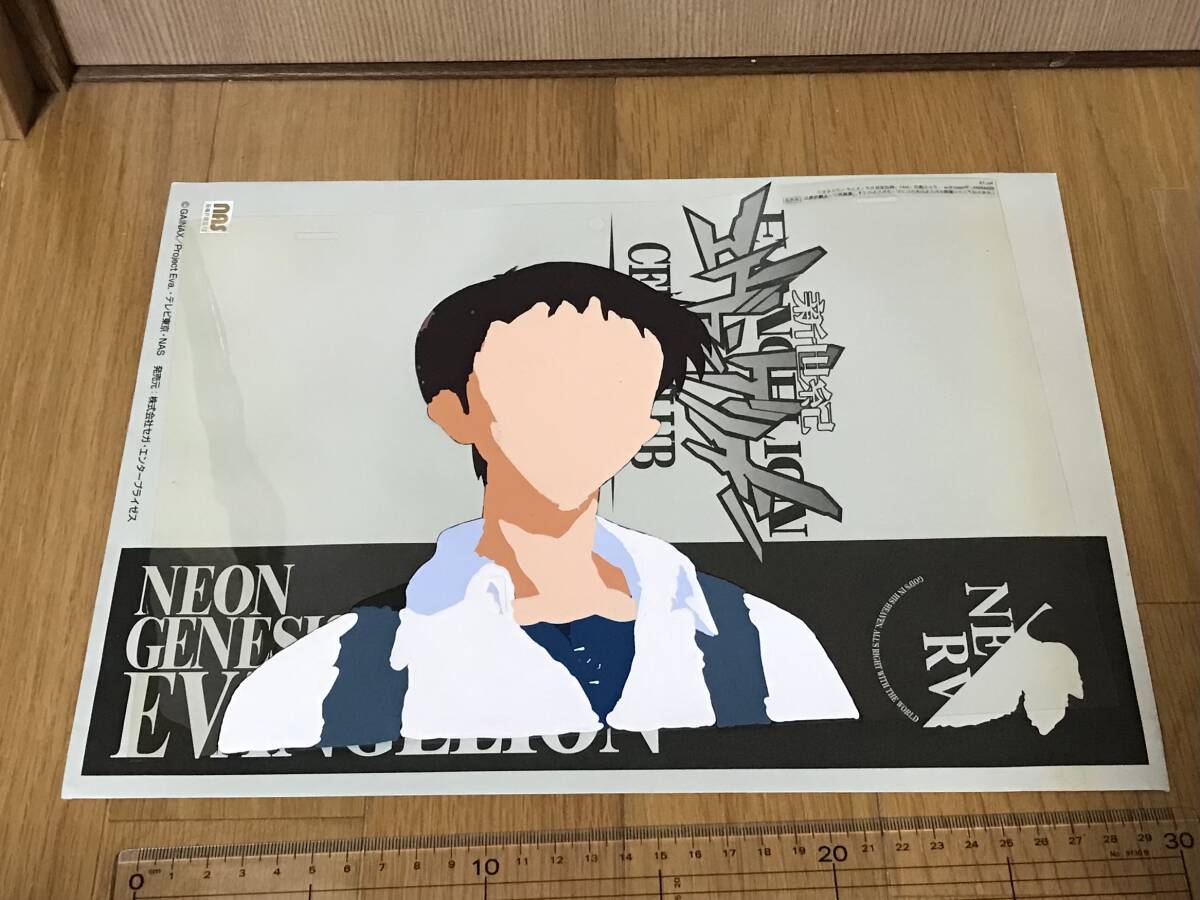 セル画 新世紀エヴァンゲリオン 碇シンジ ガイナックス 公式の セル画 新世紀エヴァンゲリオン 碇シンジ ガイナックス 公式の