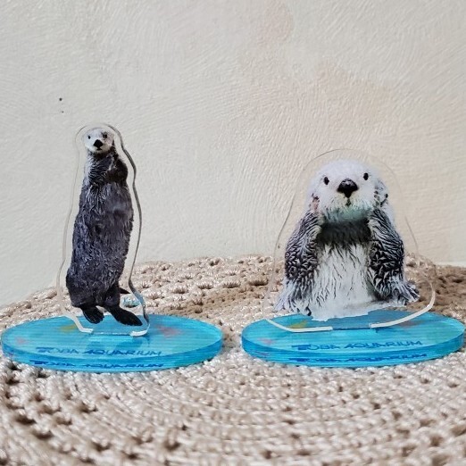 送料無料 匿名配送 鳥羽水族館 ラッコ パネルスタンド キラ メイ 送料無料 匿名配送 鳥羽水族館 ラッコ パネルスタンド キラ メイ
