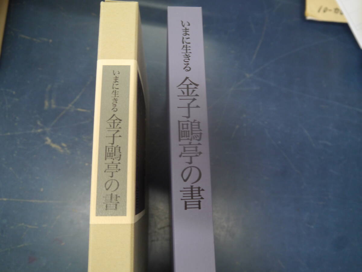 P2407H1　いまに生きる　金子亭の書　毎日新聞社