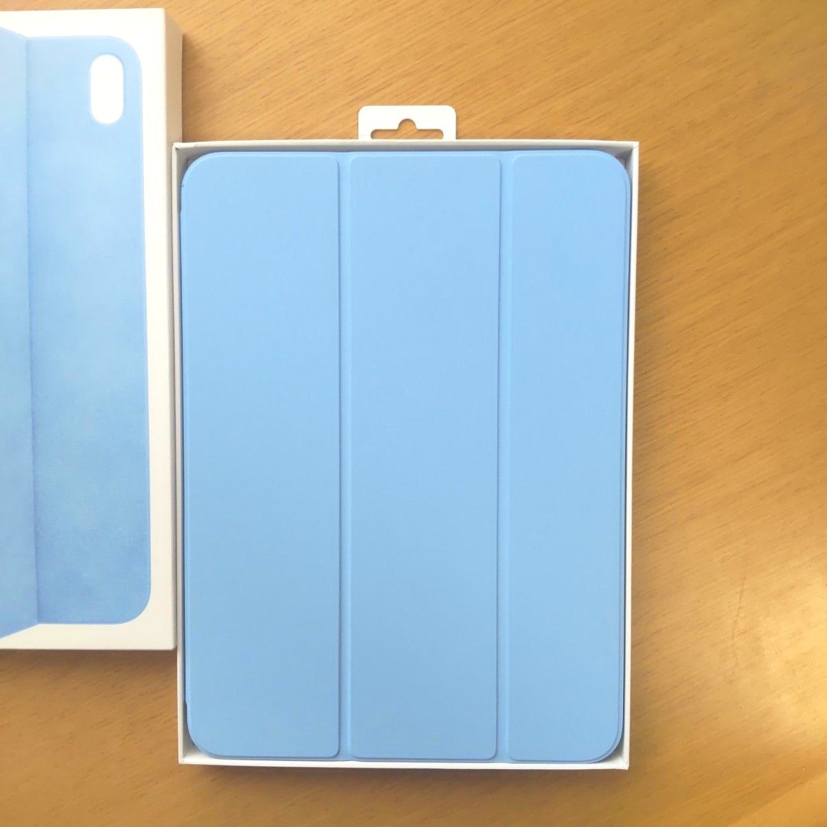 Amazon.com: Apple Smart Folio for iPad (10th Generation