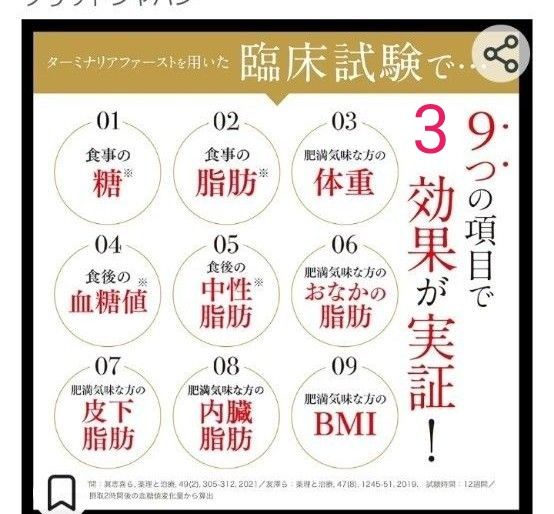 ターミナリアファースト最新版プロフェッショナル4です 7月購入 ターミナリアファースト最新版プロフェッショナル4です 7月購入