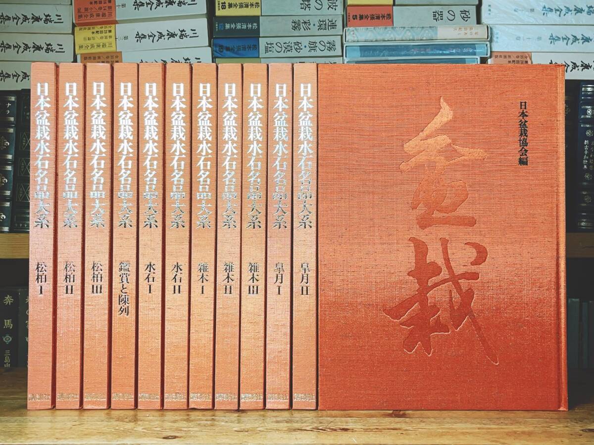 定価20万!! 日本盆栽水石名品大系 全12巻揃 写真多数 定価20万!! 日本盆栽水石名品大系 全12巻揃 写真多数
