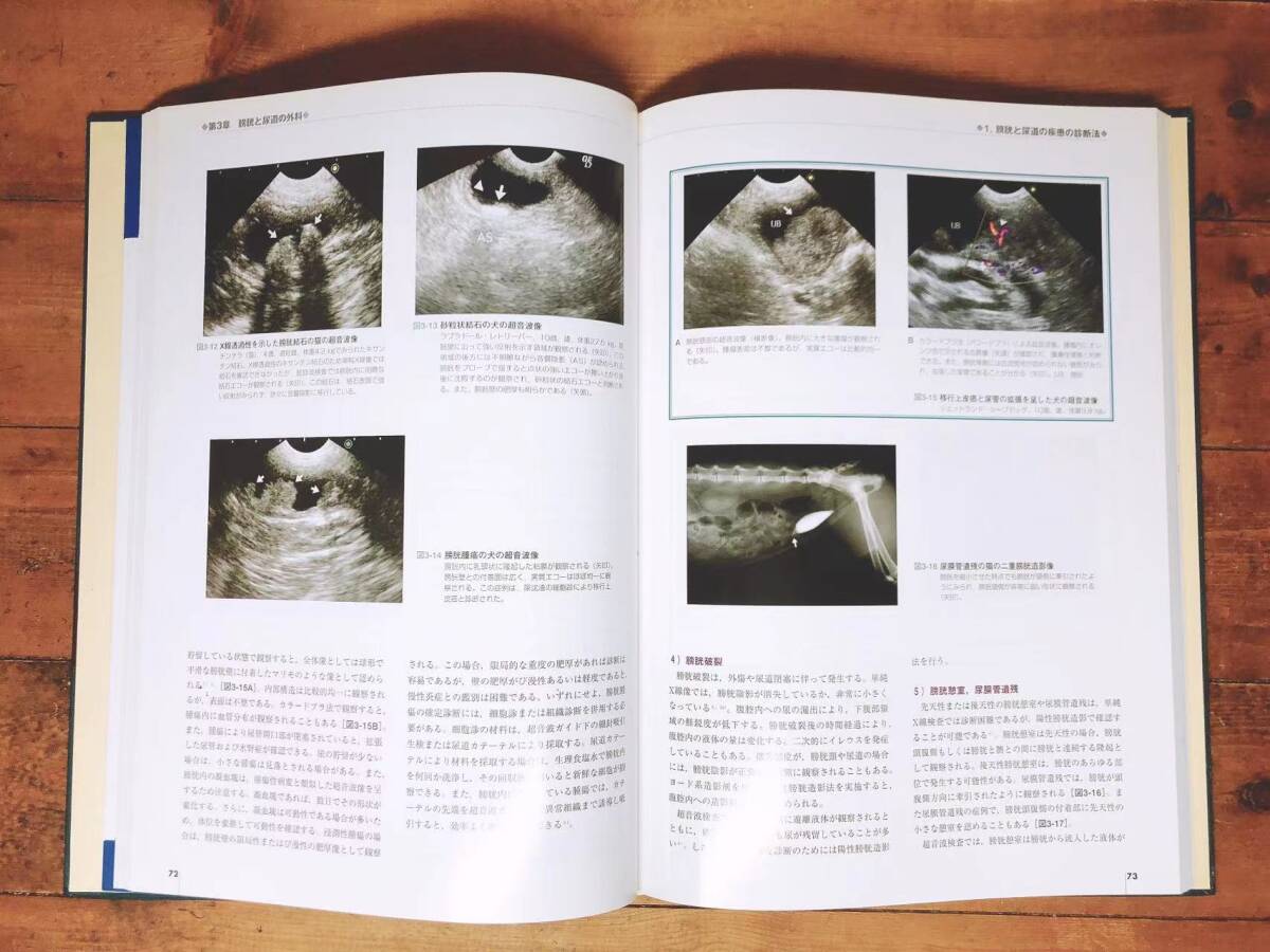 レア!!定価48000円!! 小動物最新外科学大系 泌尿生殖器系 1 2 レア!!定価48000円!! 小動物最新外科学大系 泌尿生殖器系 1 2