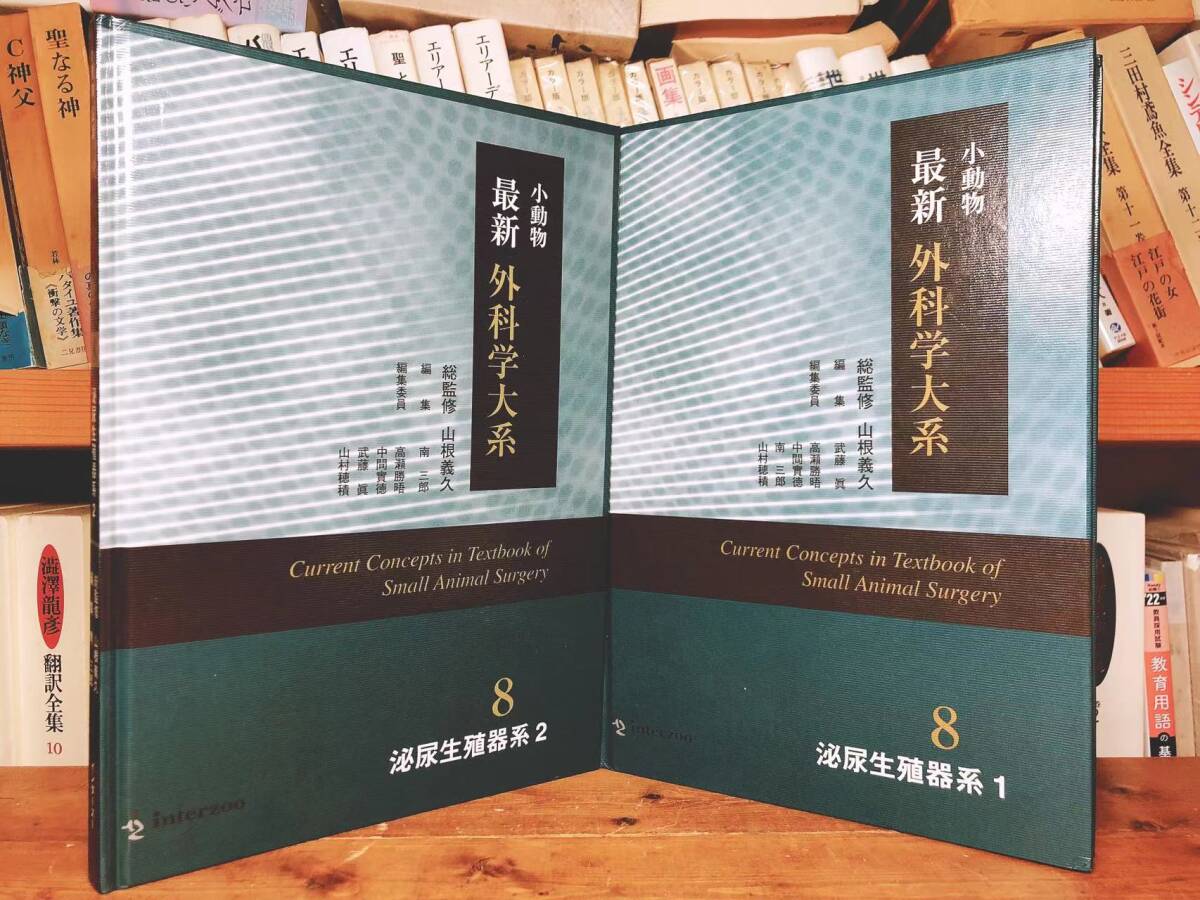 レア!!定価48000円!! 小動物最新外科学大系 泌尿生殖器系 1 レア!!定価48000円!! 小動物最新外科学大系 泌尿生殖器系 1