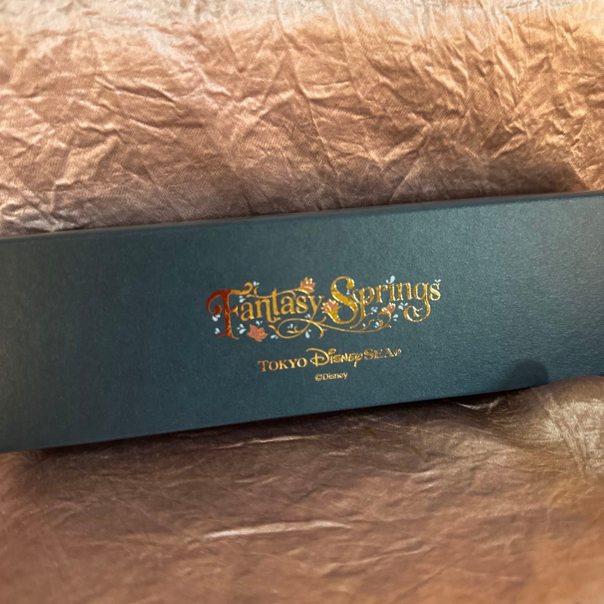 ディズニー ファンタジースプリングス 非売品 ボールペン 未使用 ディズニー ファンタジースプリングス 非売品 ボールペン 未使用