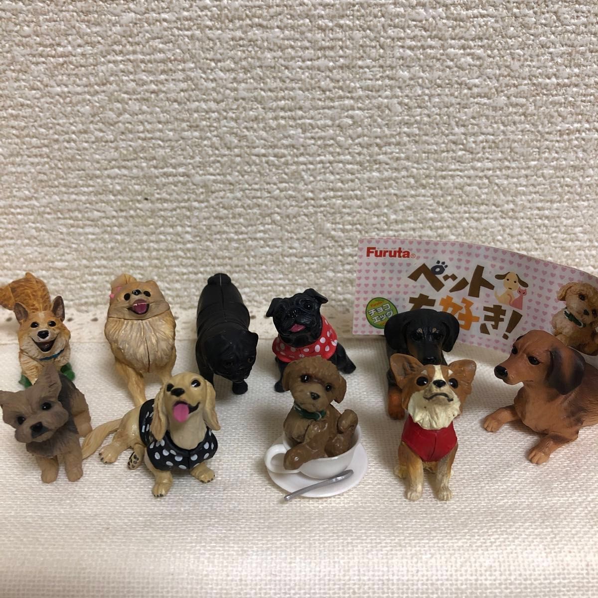 Furuta チョコエッグ ペット大好き ティーカッププードル Furuta チョコエッグ ペット大好き ティーカッププードル