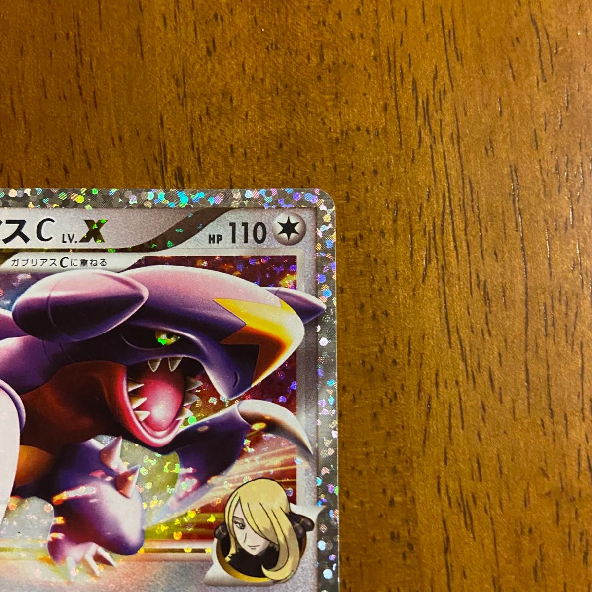 ポケモンカード ガブリアスC LV X 25th ANNIVERSARY editio ポケモンカード ガブリアスC LV X 25th ANNIVERSARY editio