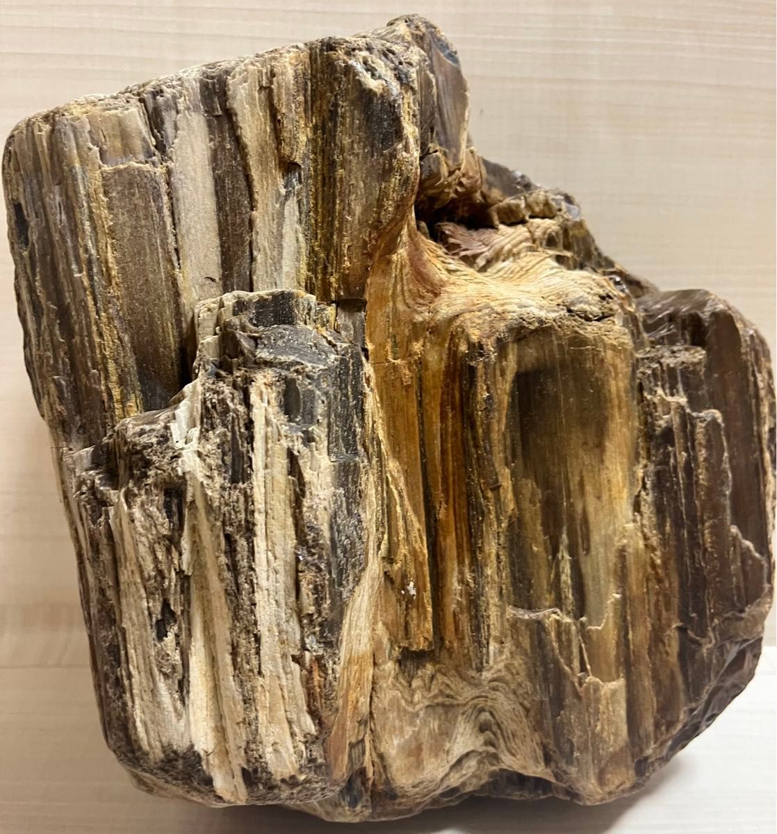 珪化木 木化石 庭石 鑑賞石 天然石 置物 インテリア 約5キロ 珪化木 木化石 庭石 鑑賞石 天然石 置物 インテリア 約5キロ
