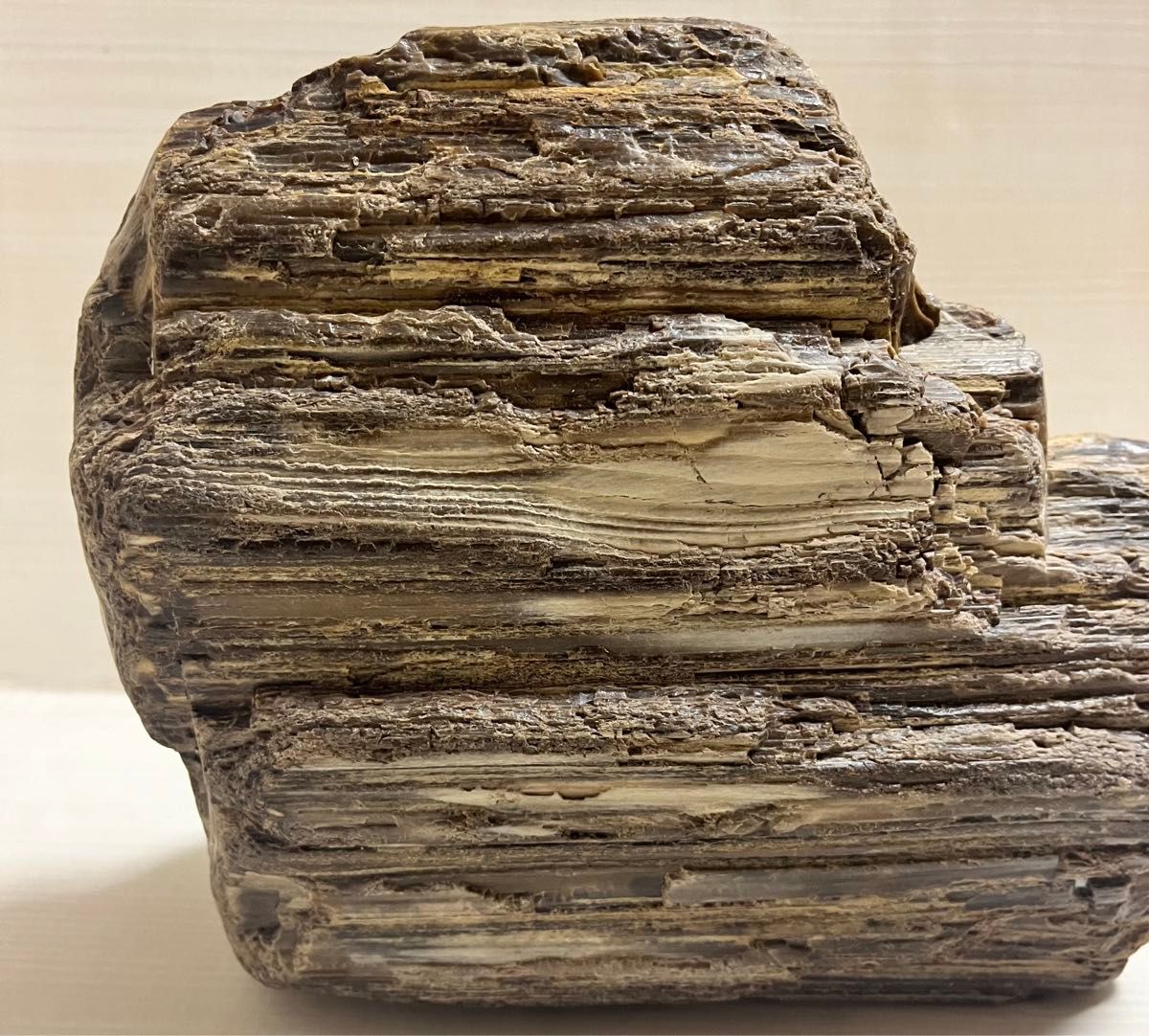 珪化木 木化石 庭石 鑑賞石 天然石 置物 インテリア 約5キロ 珪化木 木化石 庭石 鑑賞石 天然石 置物 インテリア 約5キロ