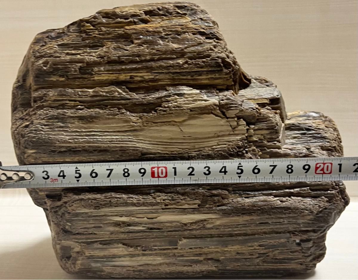 珪化木 木化石 庭石 鑑賞石 天然石 置物 インテリア 約5キロ 珪化木 木化石 庭石 鑑賞石 天然石 置物 インテリア 約5キロ