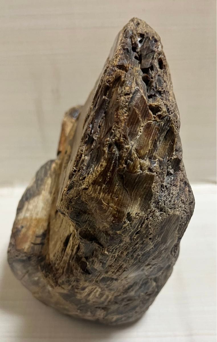 珪化木 木化石 庭石 鑑賞石 天然石 置物 インテリア 約5キロ 珪化木 木化石 庭石 鑑賞石 天然石 置物 インテリア 約5キロ