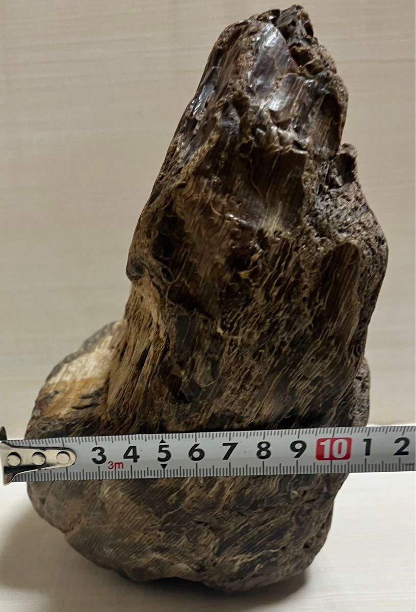 珪化木 木化石 庭石 鑑賞石 天然石 置物 インテリア 約5キロ 珪化木 木化石 庭石 鑑賞石 天然石 置物 インテリア 約5キロ