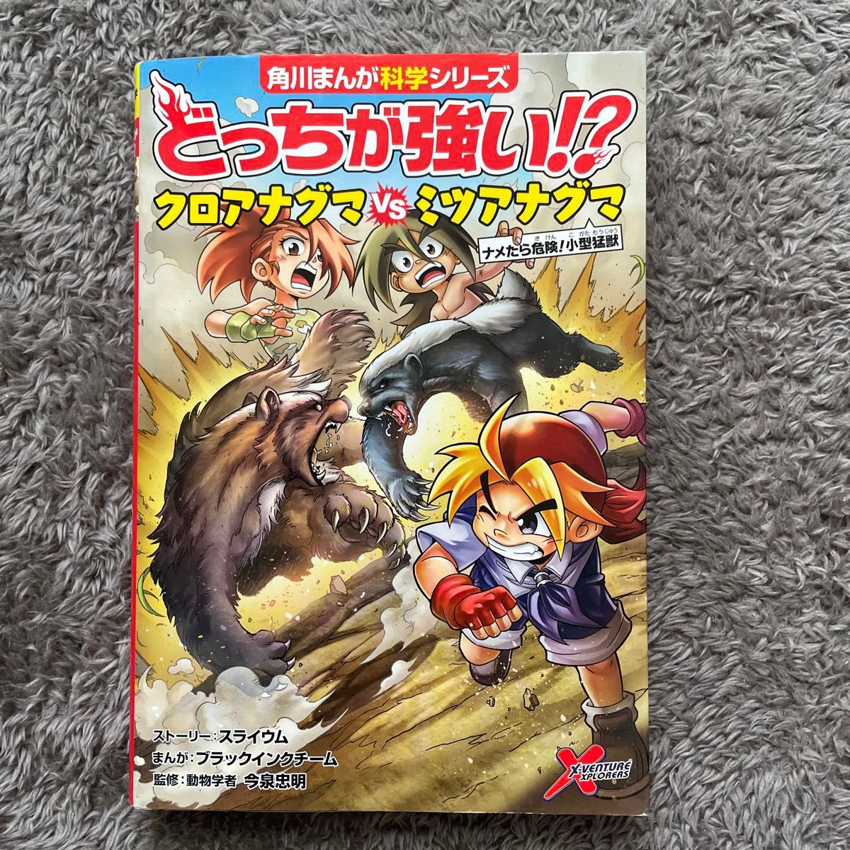 どっちが強い クロアナグマVS(たい)ミツアナグマ ナメたら どっちが強い クロアナグマVS(たい)ミツアナグマ ナメたら