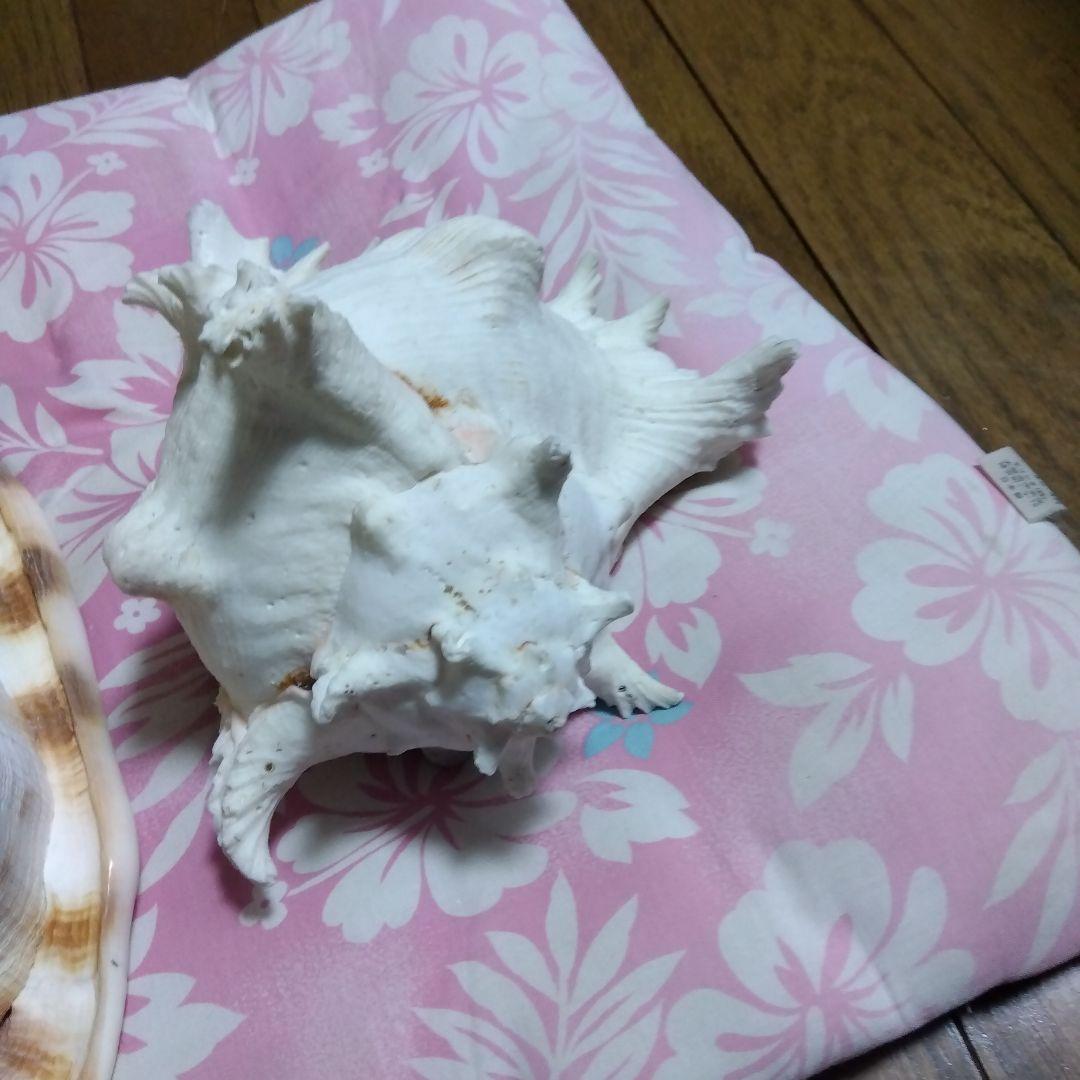 item_image_10