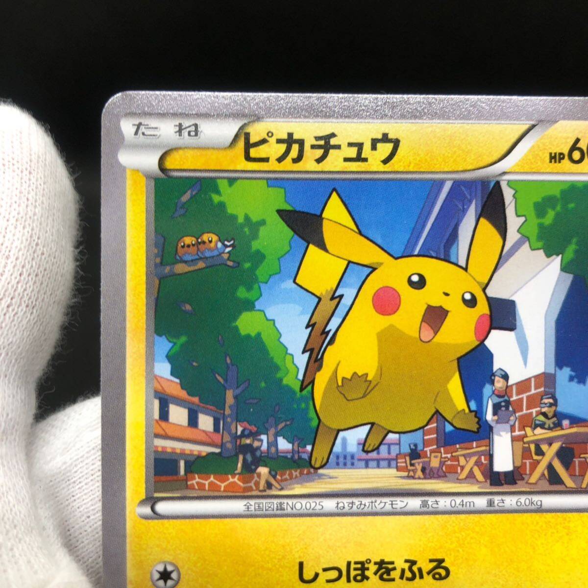 ポケモンカード ピカチュウ プロモカード 064/XY-P|Yahoo ポケモンカード ピカチュウ プロモカード 064/XY-P|Yahoo