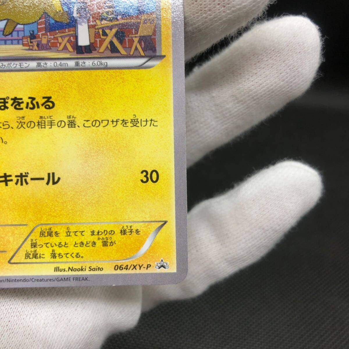 ポケモンカード ピカチュウ プロモカード 064/XY-P|Yahoo ポケモンカード ピカチュウ プロモカード 064/XY-P|Yahoo