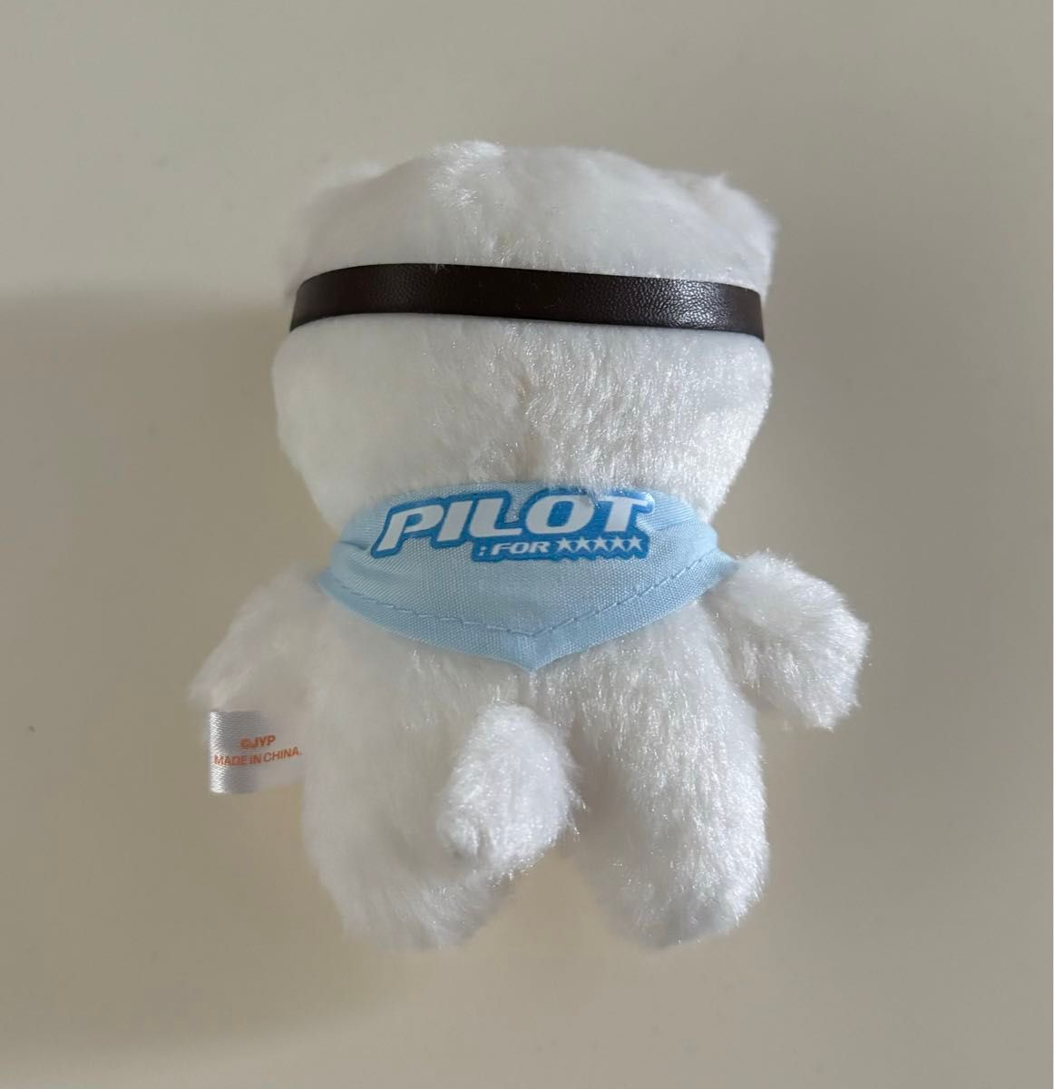 【12月スーパーSALE 15%OFF】 Kids Stray SKZOO ぬいぐるみ 10cm ペンミ ジニレット pilot アイドル