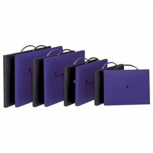 新品】(まとめ) ライオン事務器 デザインケース B3ダークブルー 新品】(まとめ) ライオン事務器 デザインケース B3ダークブルー