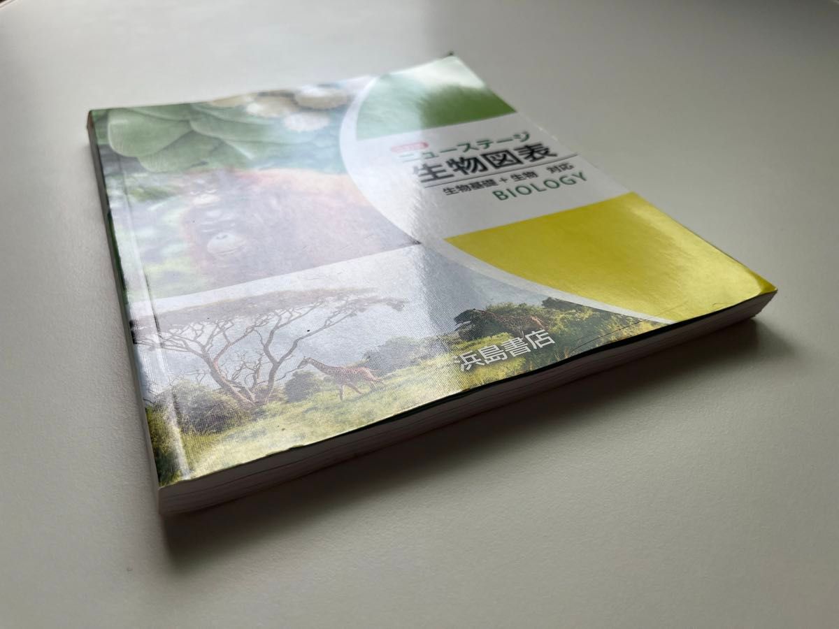 生物基礎 新課程 生物図表 3冊セット 高校教科書 解答付き 生物基礎 新課程 生物図表 3冊セット 高校教科書 解答付き