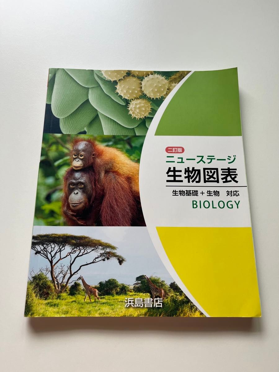 生物基礎 新課程 生物図表 3冊セット 高校教科書 解答付き 生物基礎 新課程 生物図表 3冊セット 高校教科書 解答付き