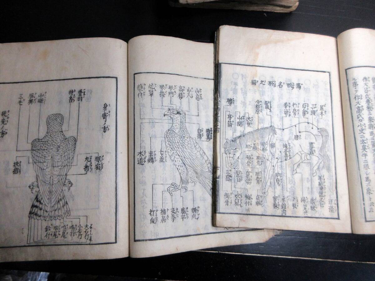 ☆3578和本江戸期兵法武士の事典「武用辨略」8冊揃い/木下義俊 ☆3578和本江戸期兵法武士の事典「武用辨略」8冊揃い/木下義俊