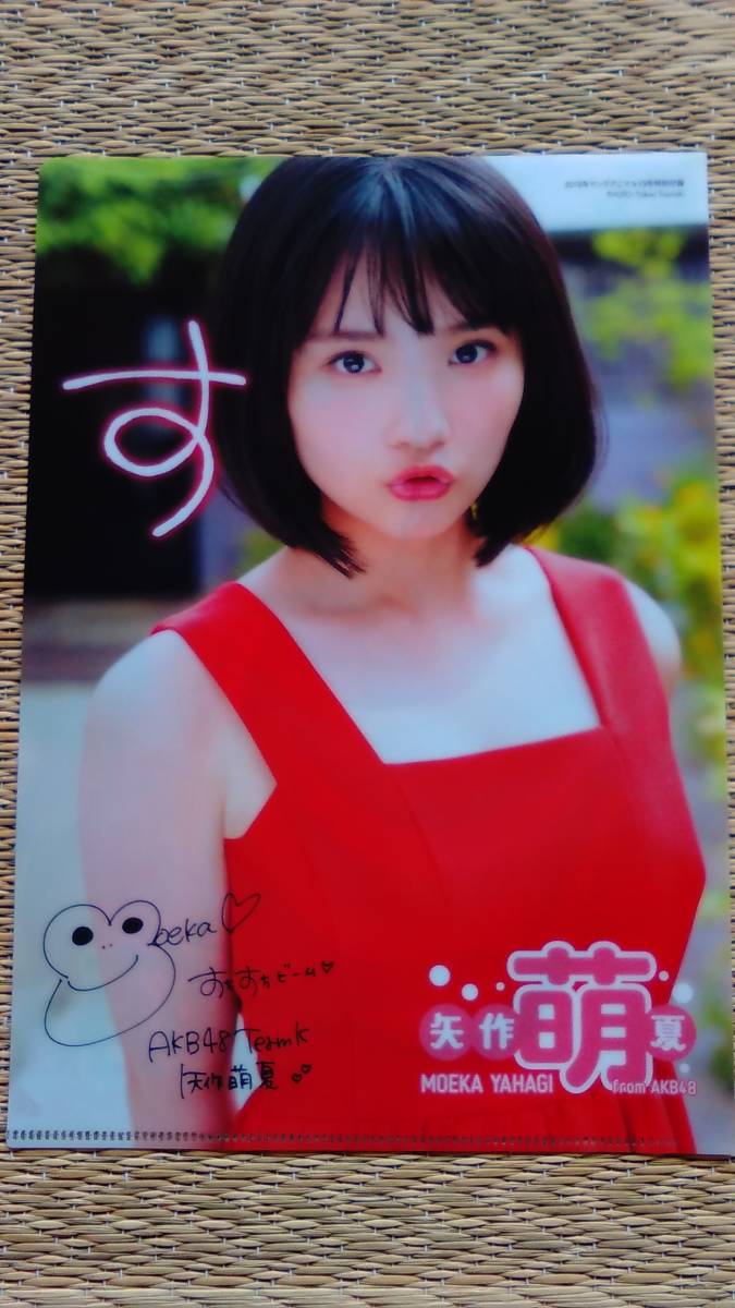  arrow work .. clear file Young animal 2019 year 13 number appendix new goods unused 