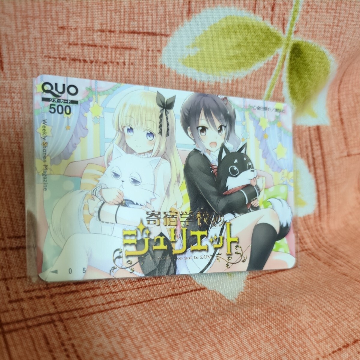 item_image_1