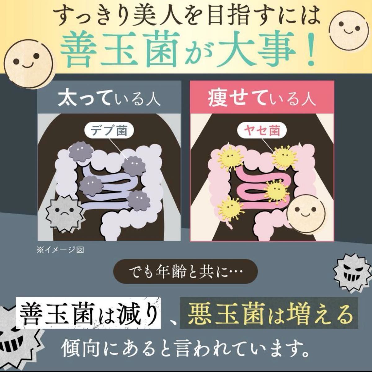 越後酵素蓬緑 よもぎみどり 痩せ菌ドリンク 酵素ドリンク 無添加 越後酵素蓬緑 よもぎみどり 痩せ菌ドリンク 酵素ドリンク 無添加