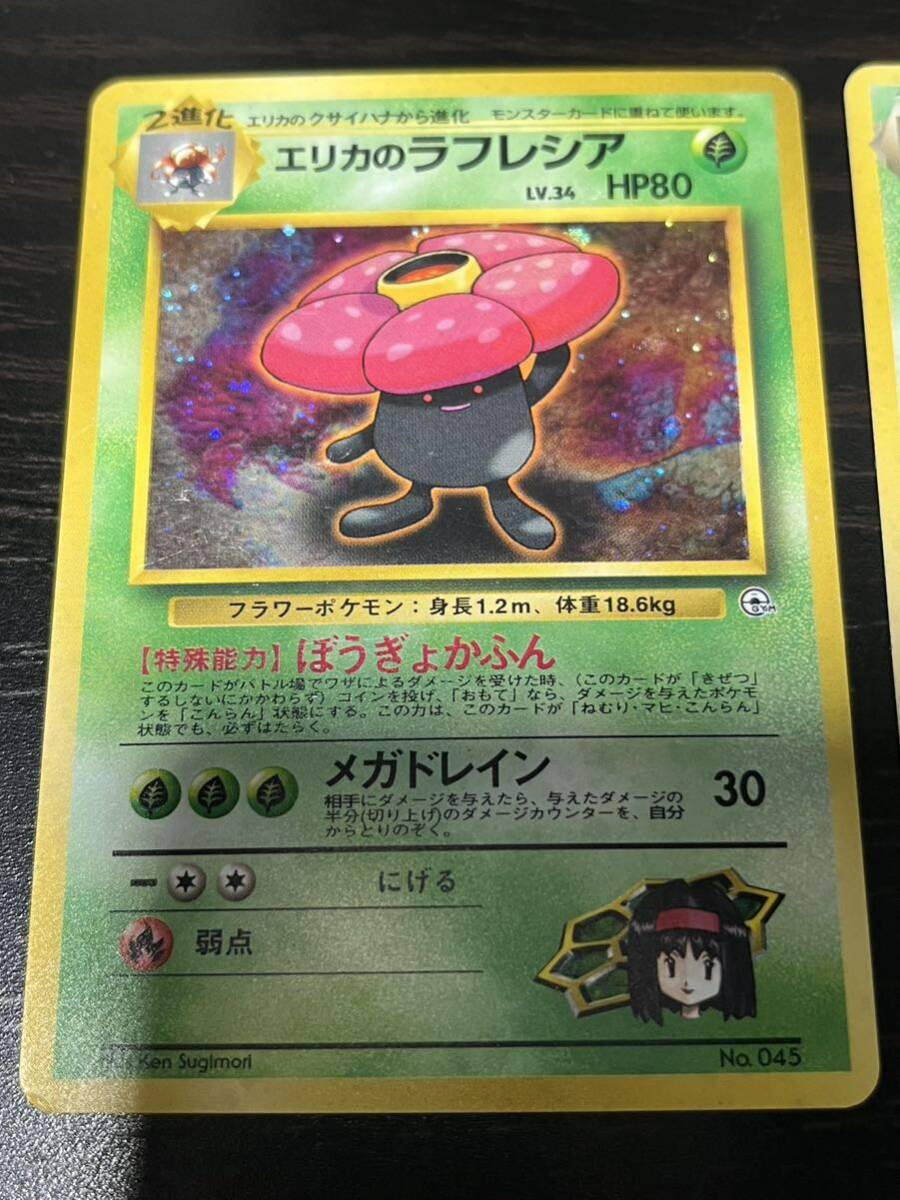 ポケモンカード 旧裏 セリカのラフレシア わるいラフレシア ポケモンカード 旧裏 セリカのラフレシア わるいラフレシア